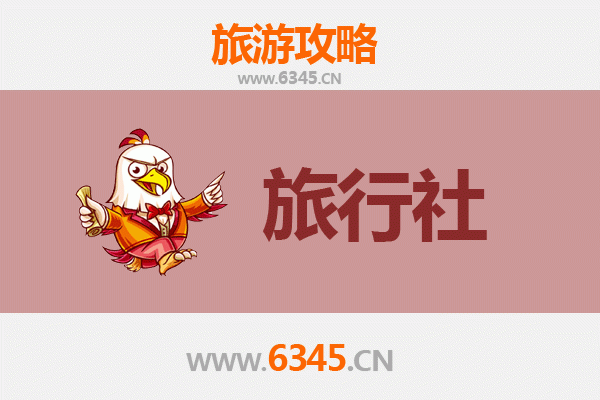沧州运河本地旅行社推荐：探索千年运河文化的专业向导